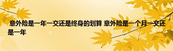 意外险是一年一交还是终身的划算 意外险是一个月一交还是一年