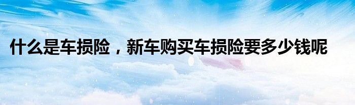 什么是车损险,新车购买车损险要多少钱呢