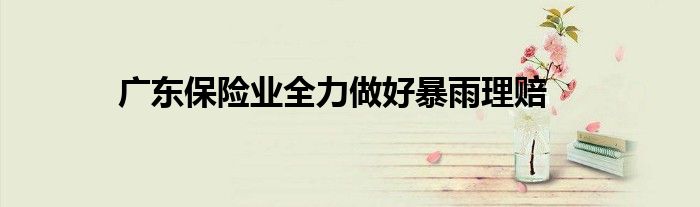 广东保险业全力做好暴雨理赔
