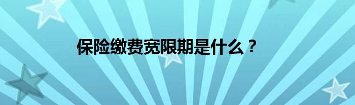 保险缴费宽限期是什么？