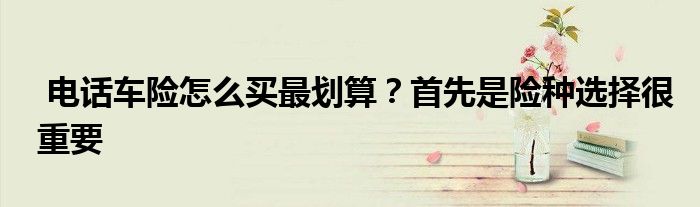 电话车险怎么买最划算?首先是险种选择很重要