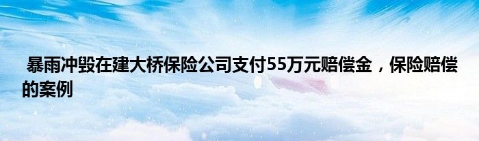 暴雨冲毁在建大桥保险公司支付55万元赔偿金，保险赔偿的案例