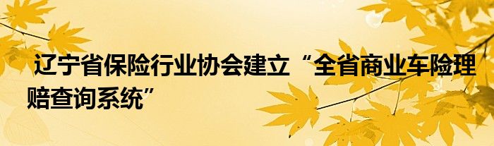 辽宁省保险行业协会建立“全省商业车险理赔查询系统”