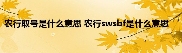 农行取号是什么意思 农行swsbf是什么意思