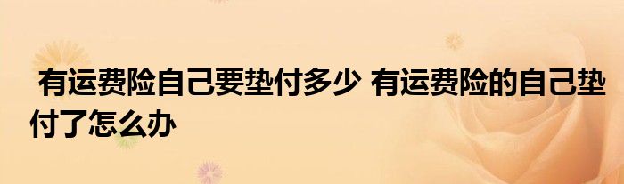 有运费险自己要垫付多少 有运费险的自己垫付了怎么办