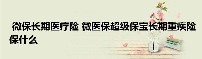 微保长期医疗险 微医保超级保宝长期重疾险保什么