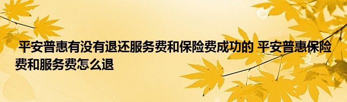 平安普惠有没有退还服务费和保险费成功的 平安普惠保险费和服务费怎么退