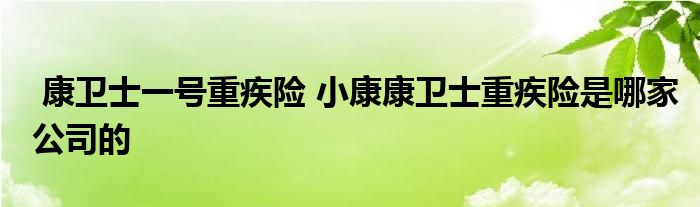 康卫士一号重疾险 小康康卫士重疾险是哪家公司的