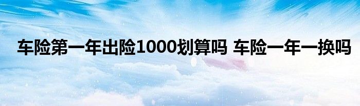 车险第一年出险1000划算吗 车险一年一换吗