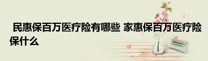 民惠保百万医疗险有哪些 家惠保百万医疗险保什么