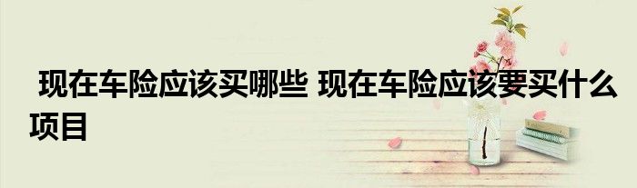 现在车险应该买哪些 现在车险应该要买什么项目