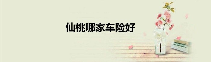 仙桃哪家车险好