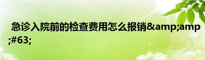 急诊入院前的检查费用怎么报销&amp;#63;