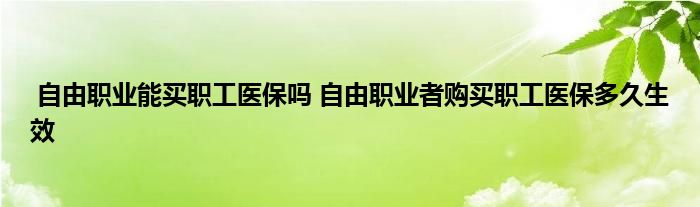自由职业能买职工医保吗 自由职业者购买职工医保多久生效