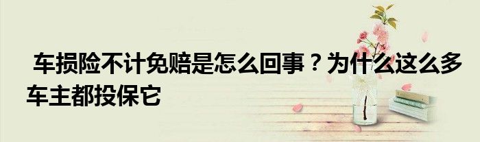 车损险不计免赔是怎么回事？为什么这么多车主都投保它