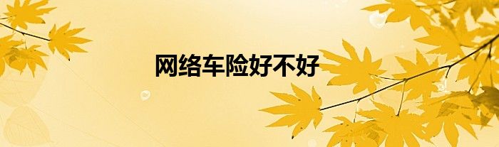 网络车险好不好