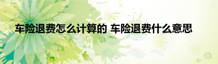车险退费怎么计算的 车险退费什么意思