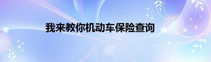 我来教你机动车保险查询