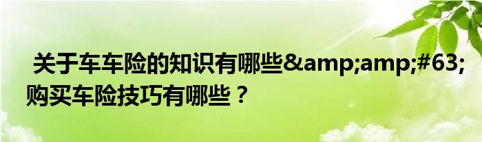 关于车车险的知识有哪些?购买车险技巧有哪些?