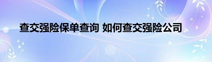查交强险保单查询 如何查交强险公司
