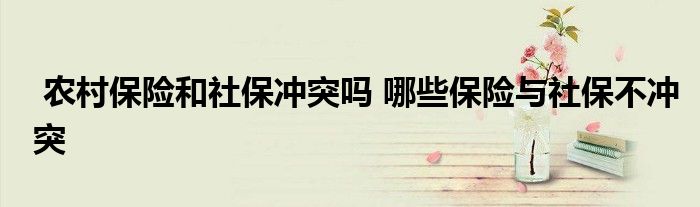 农村保险和社保冲突吗 哪些保险与社保不冲突