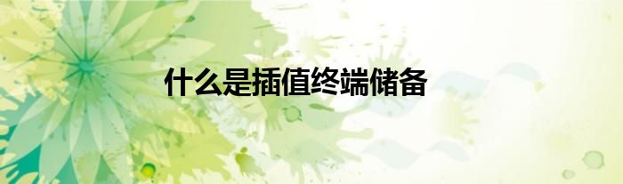 什么是插值终端储备