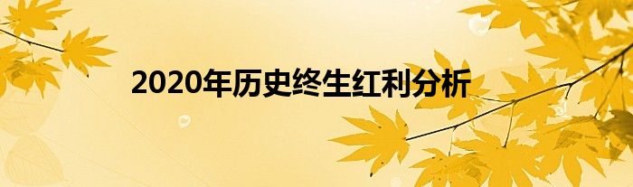 2020年历史终生红利分析
