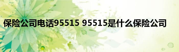 保险公司电话95515 95515是什么保险公司