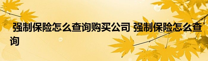 强制保险怎么查询购买公司 强制保险怎么查询