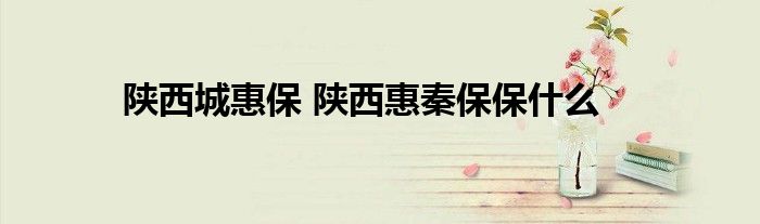 陕西城惠保 陕西惠秦保保什么