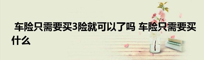 车险只需要买3险就可以了吗 车险只需要买什么