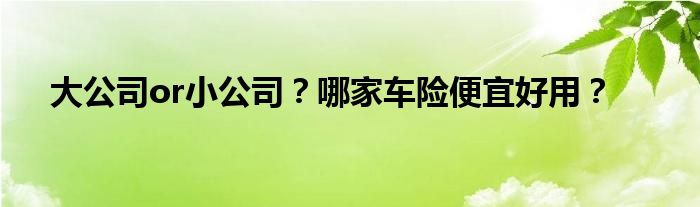 大公司or小公司?哪家车险便宜好用?