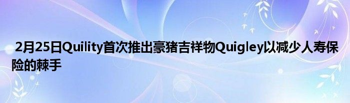 2月25日Quility首次推出豪猪吉祥物Quigley以减少人寿保险的棘手