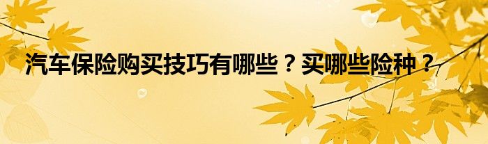 汽车保险购买技巧有哪些？买哪些险种？
