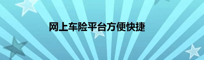 网上车险平台方便快捷