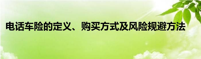 电话车险的定义、购买方式及风险规避方法