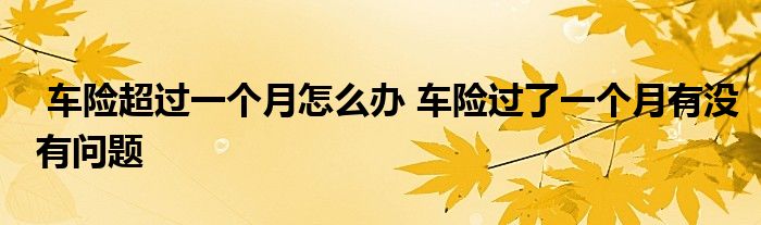 车险超过一个月怎么办 车险过了一个月有没有问题