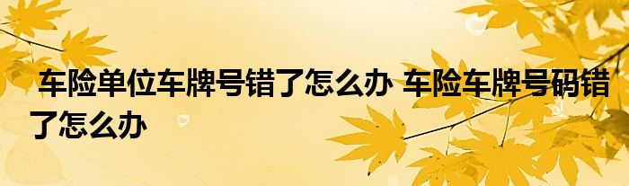 车险单位车牌号错了怎么办 车险车牌号码错了怎么办