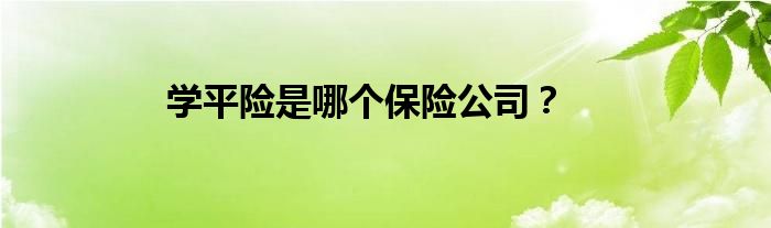 学平险是哪个保险公司？