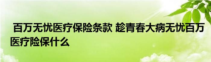 百万无忧医疗保险条款 趁青春大病无忧百万医疗险保什么