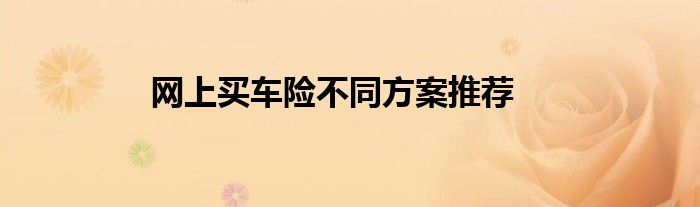 网上买车险不同方案推荐