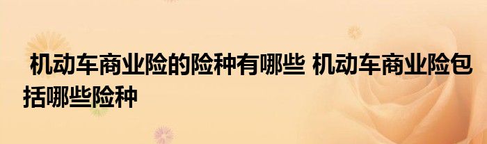 机动车商业险的险种有哪些 机动车商业险包括哪些险种