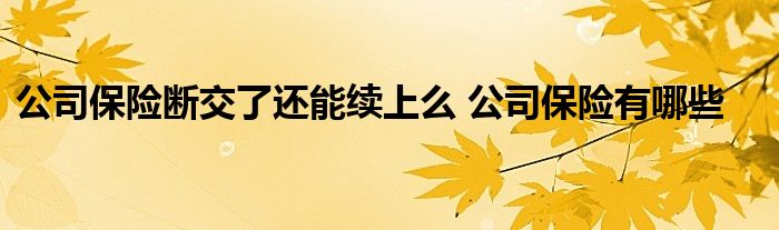 公司保险断交了还能续上么 公司保险有哪些