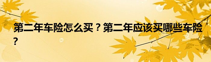 第二年车险怎么买?第二年应该买哪些车险?