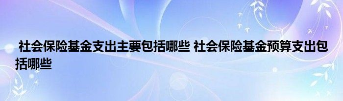 社会保险基金支出主要包括哪些 社会保险基金预算支出包括哪些