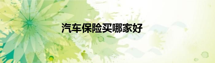 汽车保险买哪家好