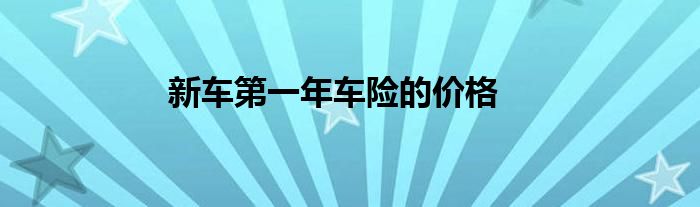 新车第一年车险的价格