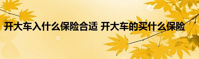 开大车入什么保险合适 开大车的买什么保险