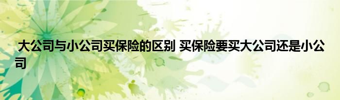 大公司与小公司买保险的区别 买保险要买大公司还是小公司