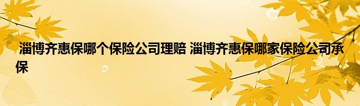淄博齐惠保哪个保险公司理赔 淄博齐惠保哪家保险公司承保